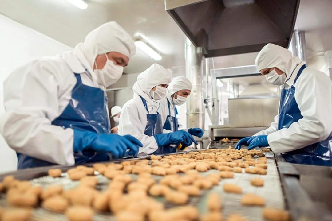 Desgastes de vedações são críticos nas linhas alimentícia, farmacêutica e de bebidas.