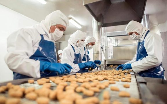 Desgastes de vedações são críticos nas linhas alimentícia, farmacêutica e de bebidas.